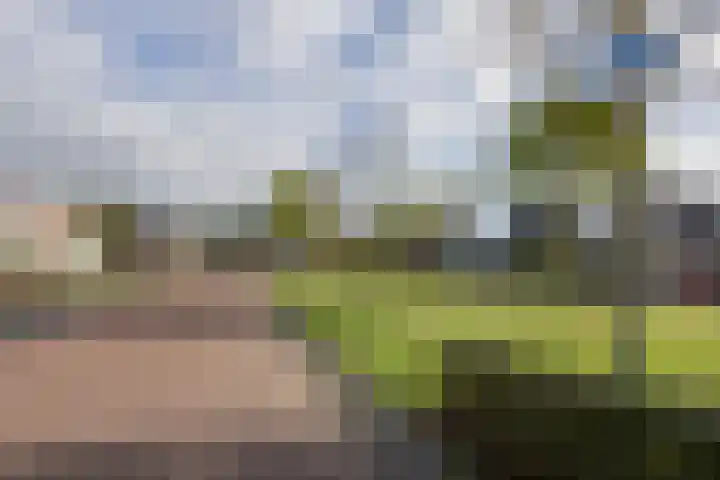 Sierheuvel 10 Best thumbnail 40