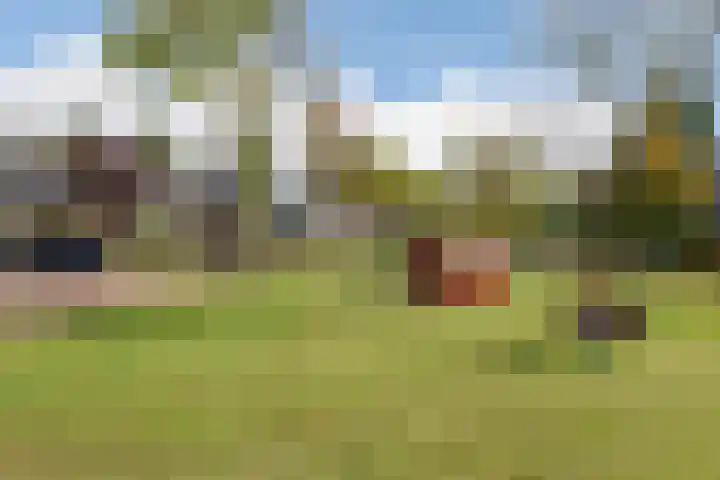 Sierheuvel 10 Best thumbnail 42