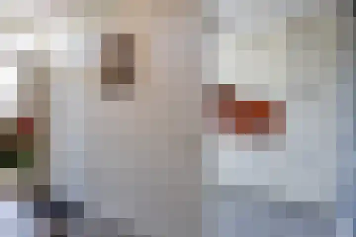 Sierheuvel 10 Best thumbnail 6