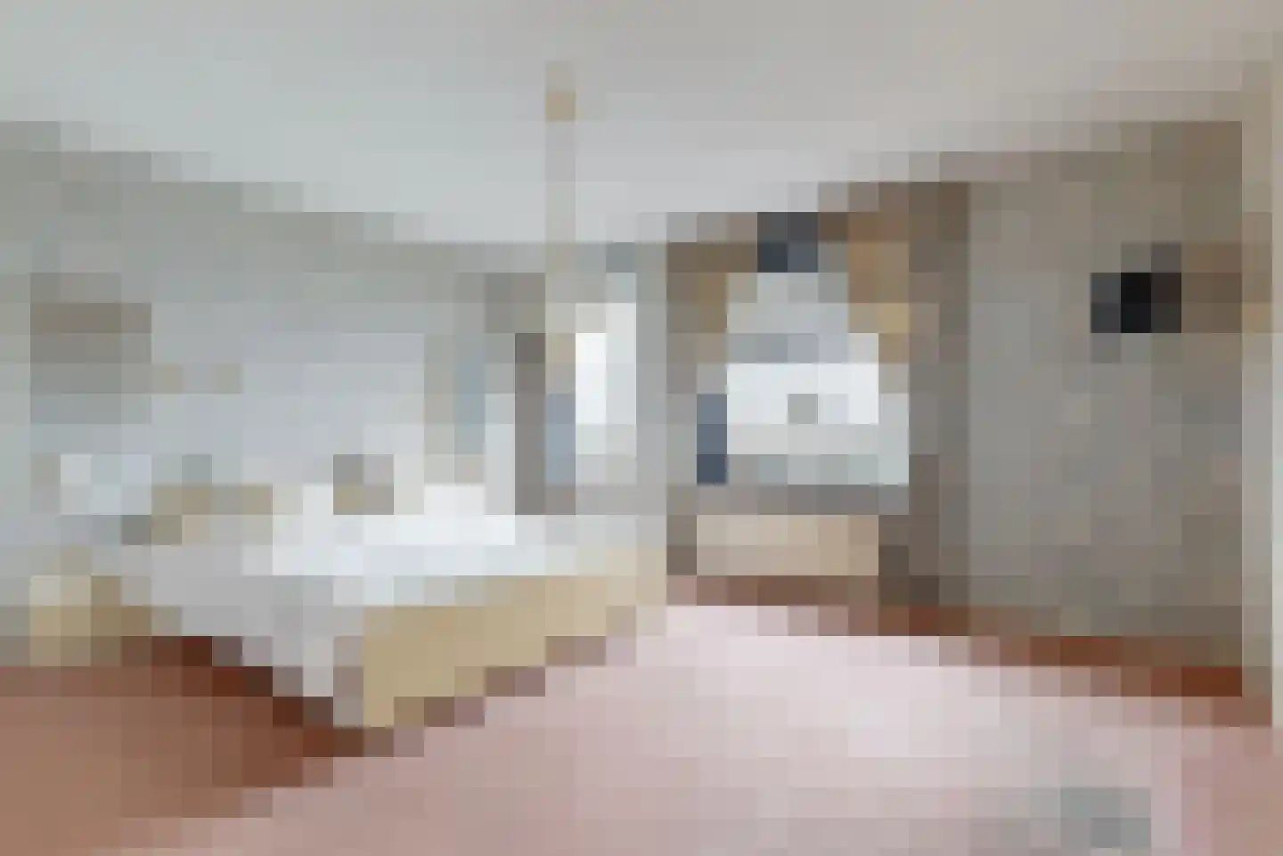 Sierkershof 27 Arnhem thumbnail 25