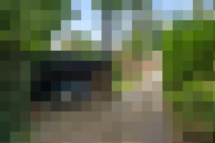 Sierkershof 27 Arnhem thumbnail 31
