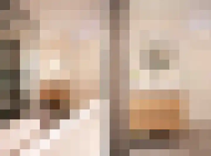 Sierkershof 27 Arnhem thumbnail 37