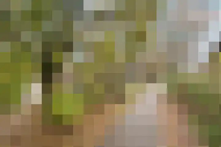 Sierkershof 27 Arnhem thumbnail 52