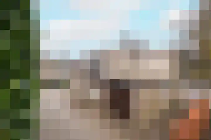 Sierkershof 27 Arnhem thumbnail 7