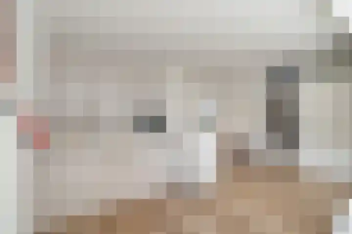 Sierkershof 7 Arnhem thumbnail 11