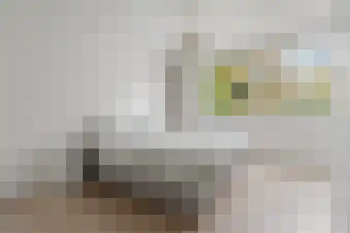 Sierkershof 7 Arnhem thumbnail 16