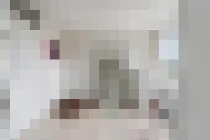 Sierkershof 7 Arnhem thumbnail 19