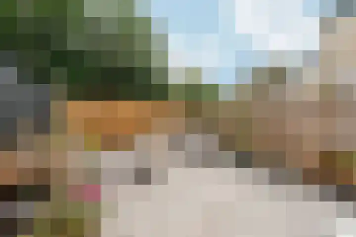 Sierkershof 7 Arnhem thumbnail 25