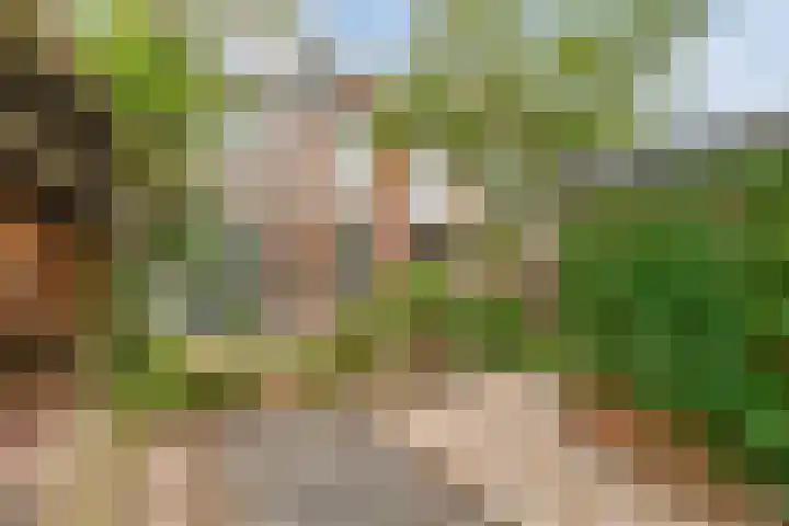 Sierkersstraat 24 Woerden thumbnail 32