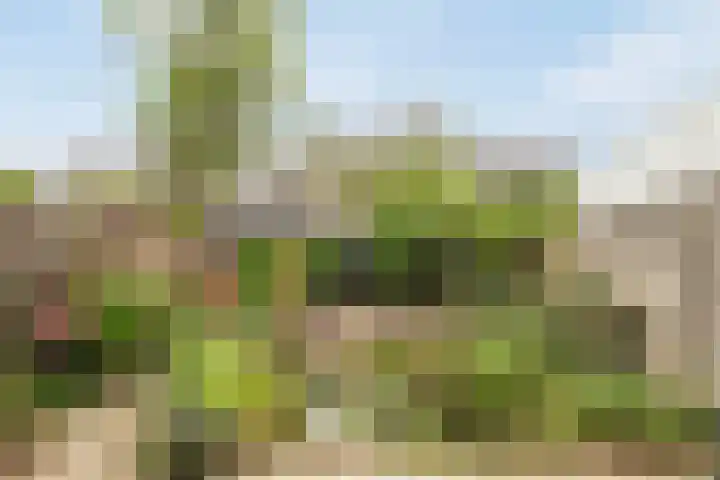 Sierkersstraat 24 Woerden thumbnail 35