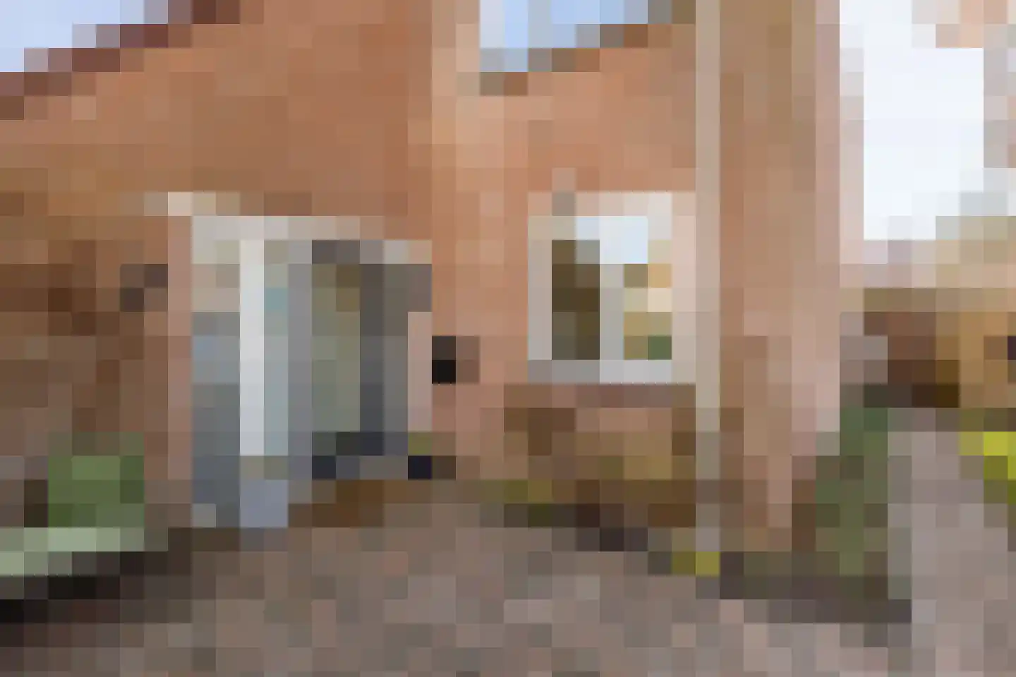 Sierksmastraat 2 Leeuwarden thumbnail 10