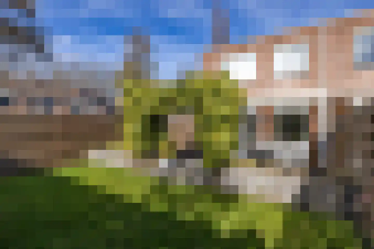 Sierksmastraat 2 Leeuwarden thumbnail 5