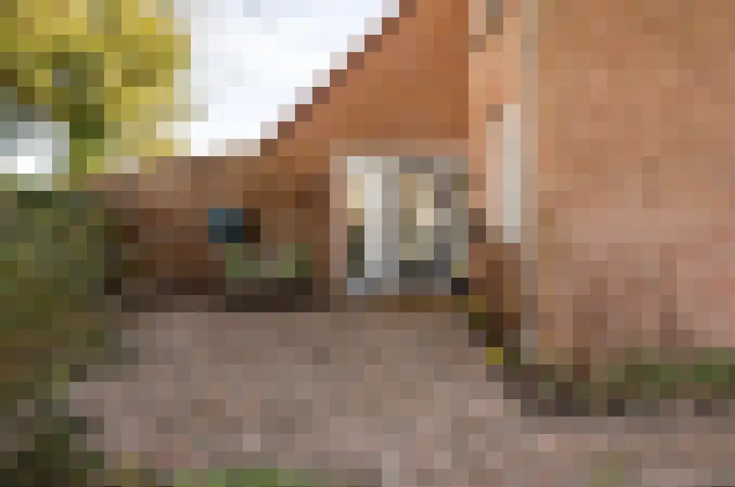 Sierksmastraat 2 Leeuwarden thumbnail 9