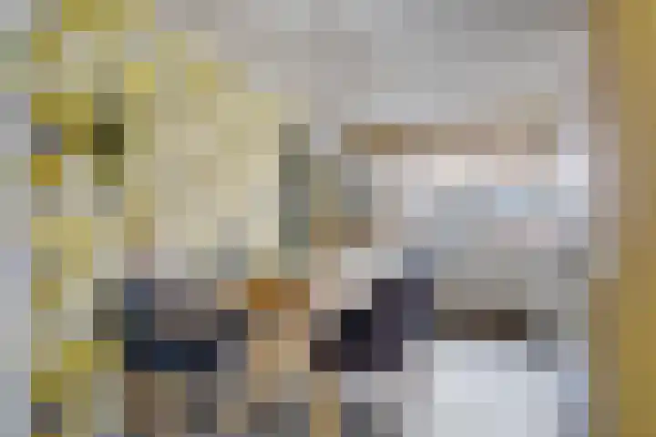 Sierpeerhof 15 Diemen thumbnail 11