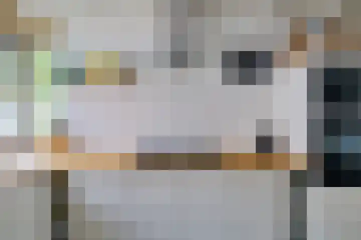 Sierpeerhof 15 Diemen thumbnail 13