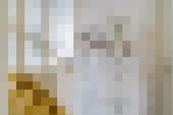 Sierpeerhof 15 Diemen thumbnail 16