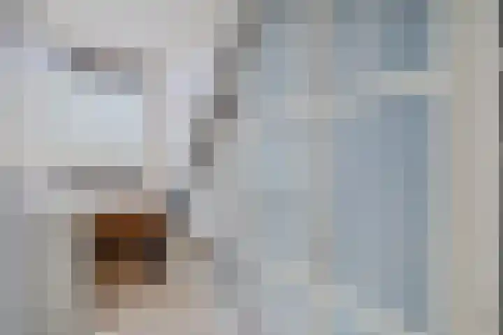 Sierpeerhof 15 Diemen thumbnail 19