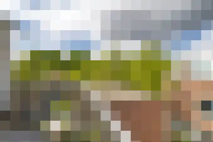 Sierpeerhof 15 Diemen thumbnail 25