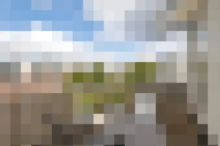 Sierpeerhof 15 Diemen thumbnail 26