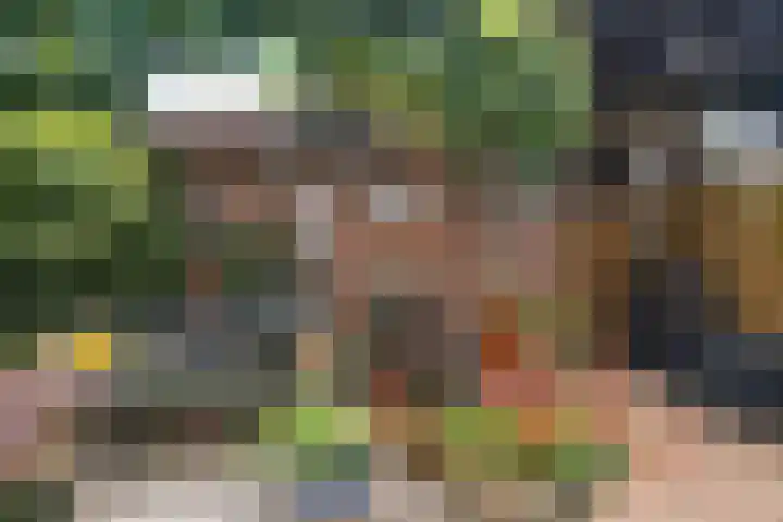 Sierpeerhof 15 Diemen thumbnail 28