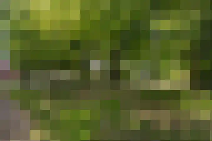 Sierpeerhof 15 Diemen thumbnail 33