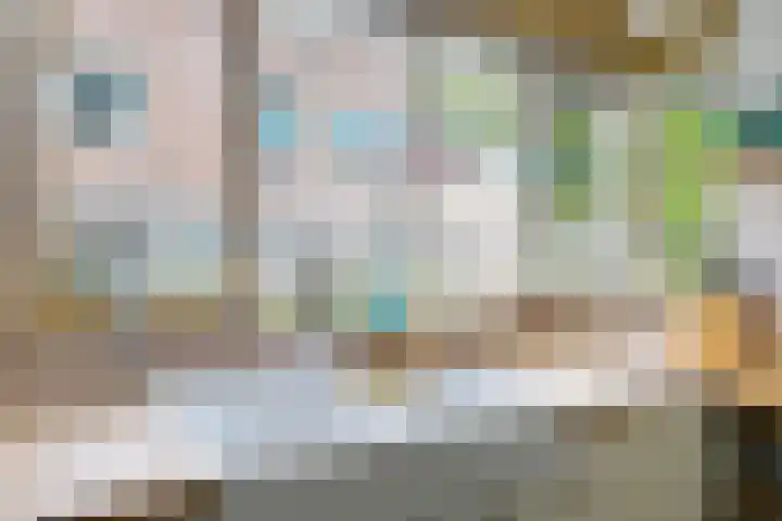 Sierpeerhof 15 Diemen thumbnail 6