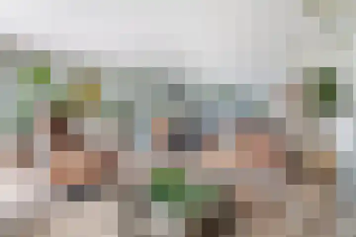 Sierperendreef 10 Kamperland thumbnail 11