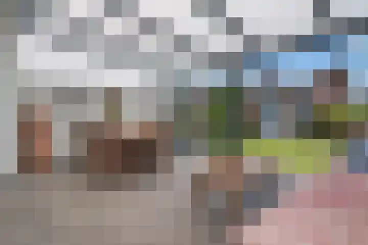 Sierperendreef 10 Kamperland thumbnail 13