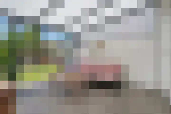 Sierperendreef 10 Kamperland thumbnail 14