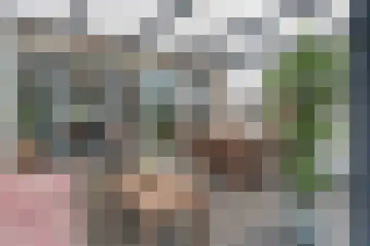 Sierperendreef 10 Kamperland thumbnail 15