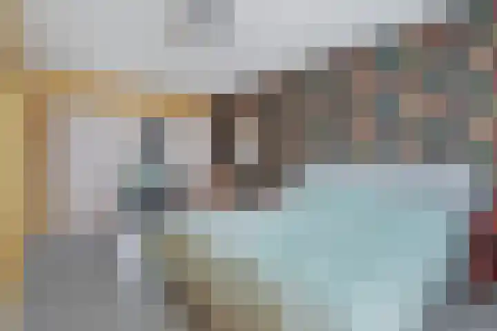 Sierperendreef 10 Kamperland thumbnail 18