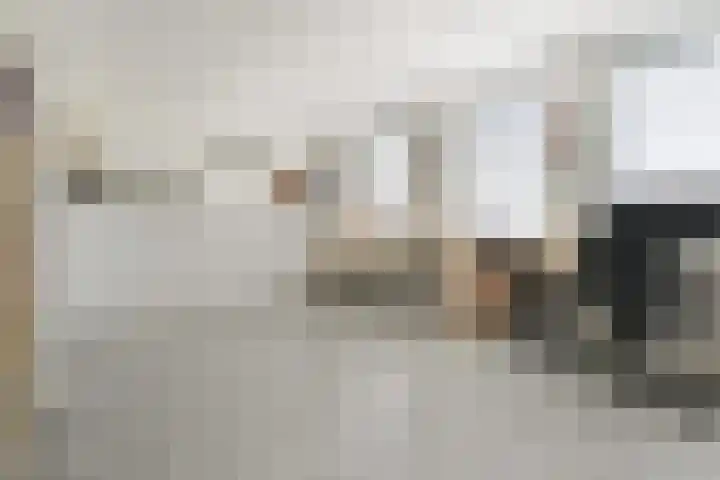 Sierperendreef 10 Kamperland thumbnail 19