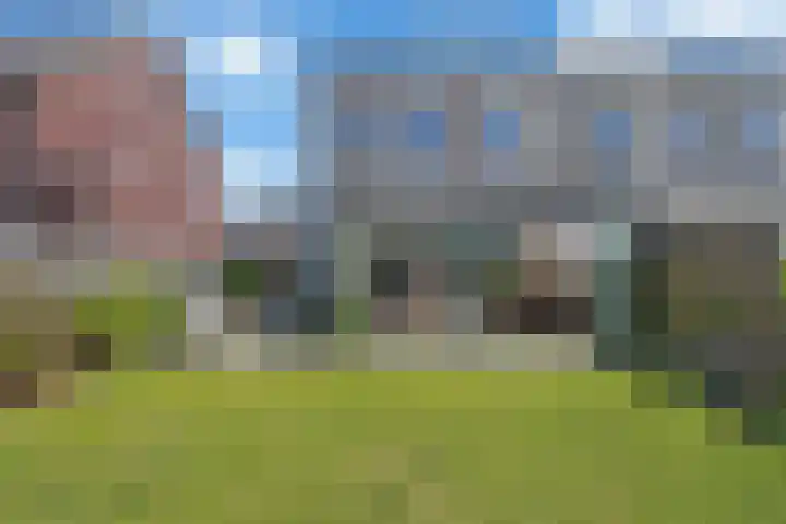 Sierperendreef 10 Kamperland thumbnail 26