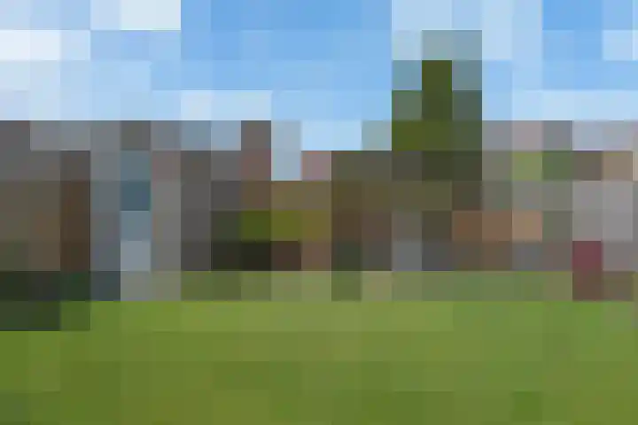 Sierperendreef 10 Kamperland thumbnail 27