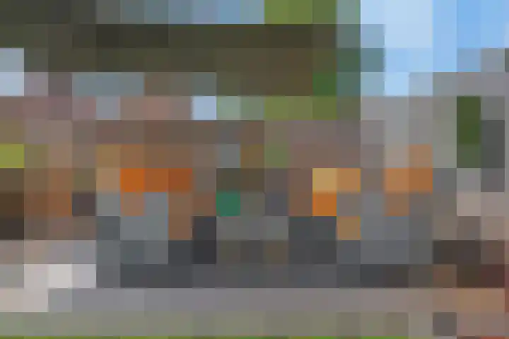 Sierperendreef 10 Kamperland thumbnail 28