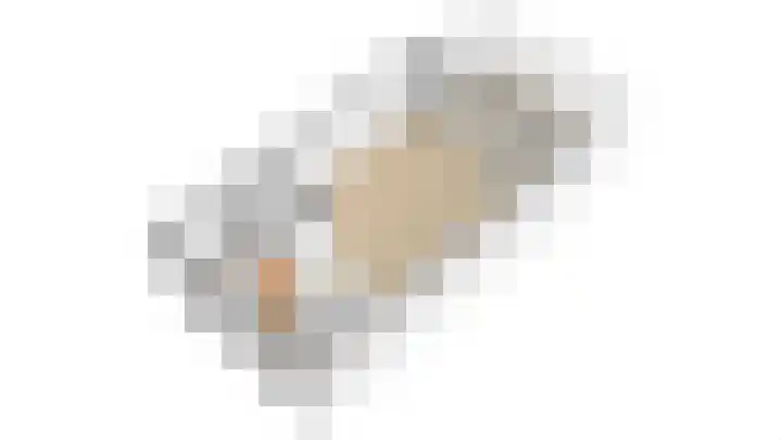 Sierperendreef 10 Kamperland thumbnail 32
