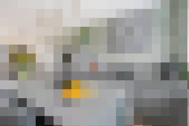 Sierperendreef 10 Kamperland thumbnail 8