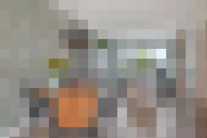 Sierperendreef 10 Kamperland thumbnail 9
