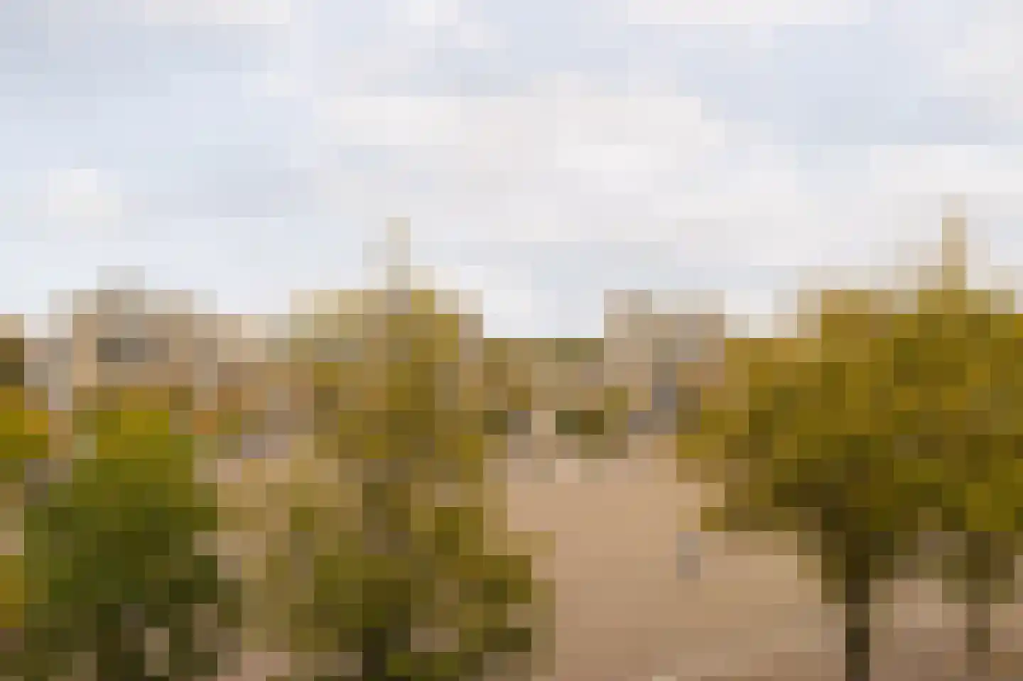 Sierplein 12 Amsterdam thumbnail 27