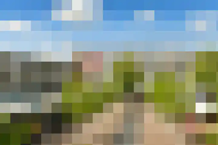 Sierplein 64 Amsterdam thumbnail 23