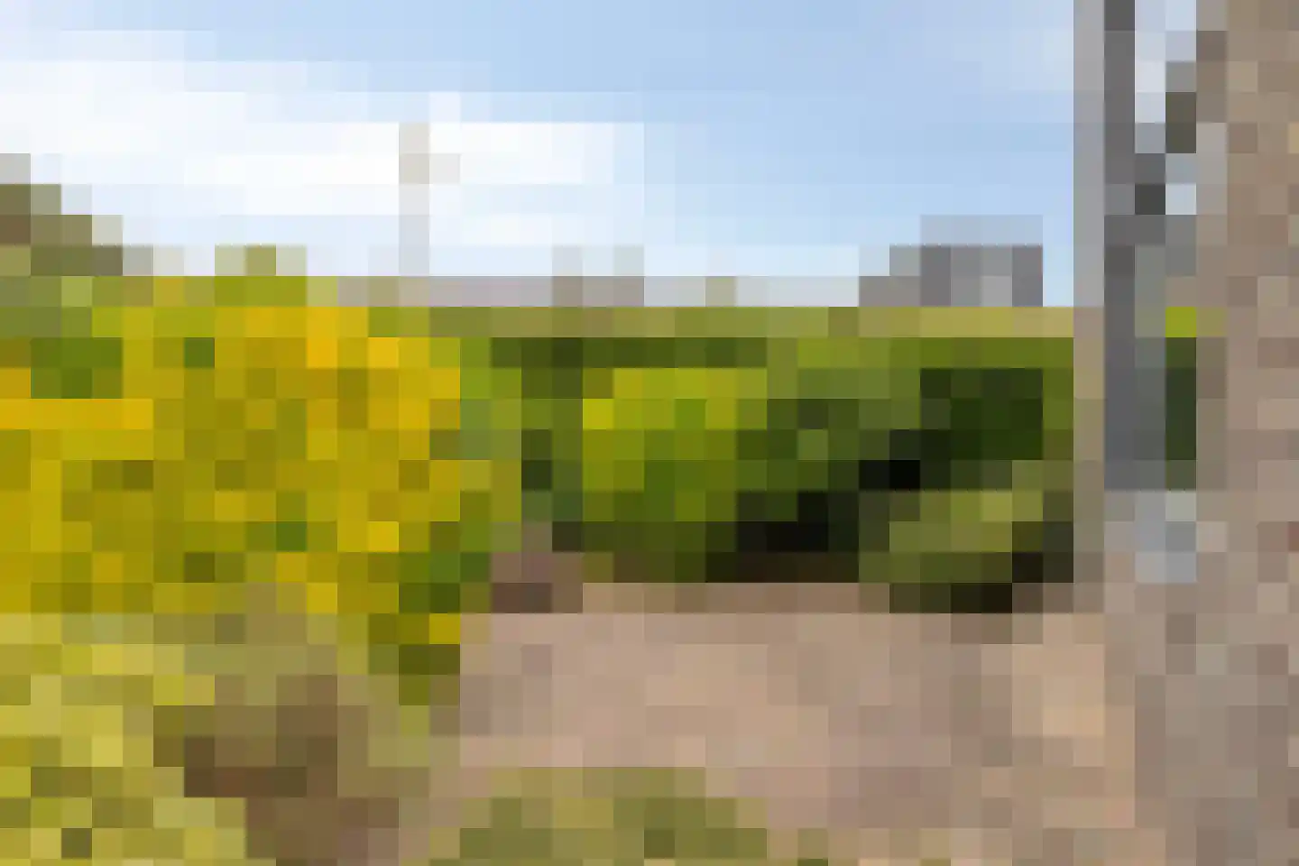 Sierra Madrestraat 2 Purmerend thumbnail 38