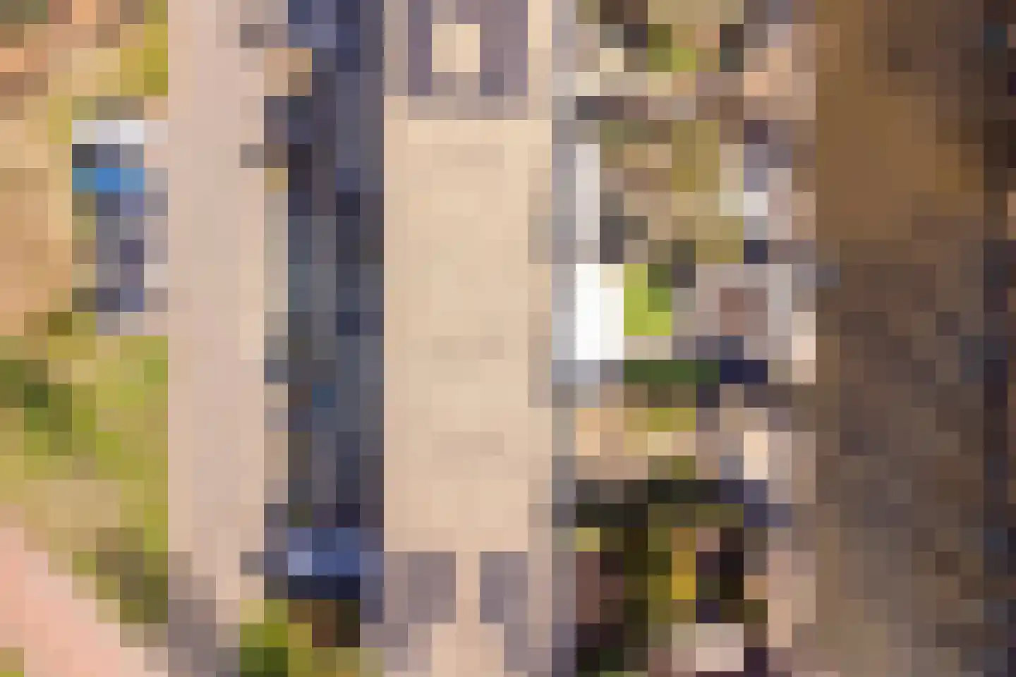 Sierra Madrestraat 95 Purmerend thumbnail 50