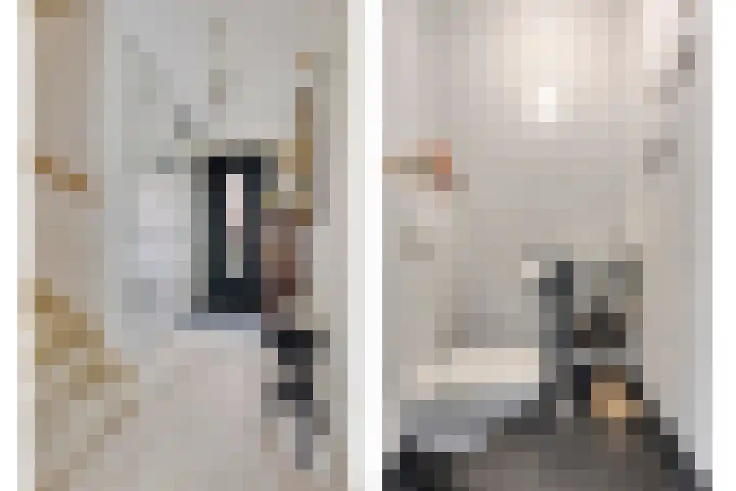 Sierra Nevada 41 Assendelft thumbnail 12
