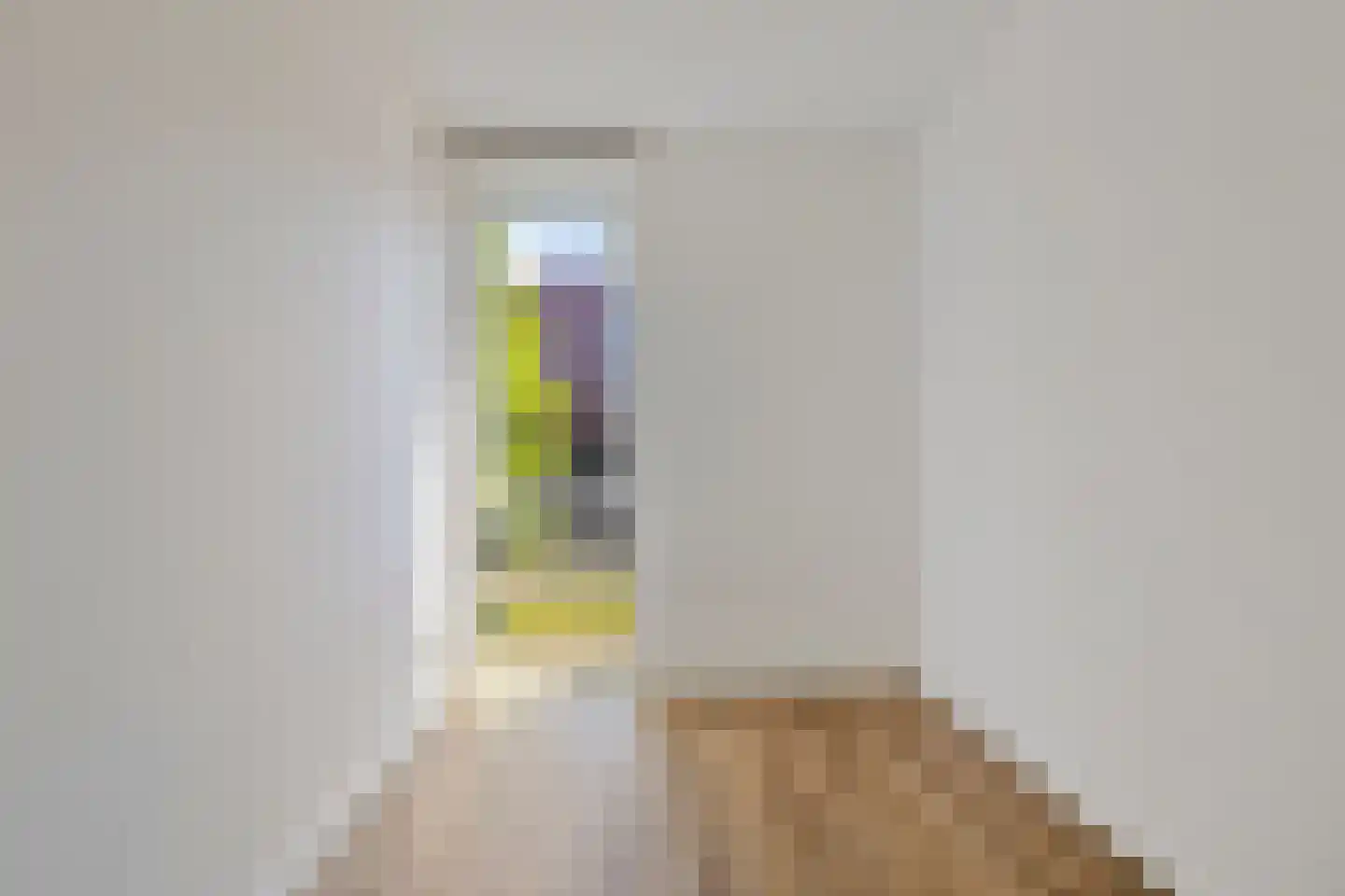 Siersteenlaan 363 b Groningen thumbnail 12