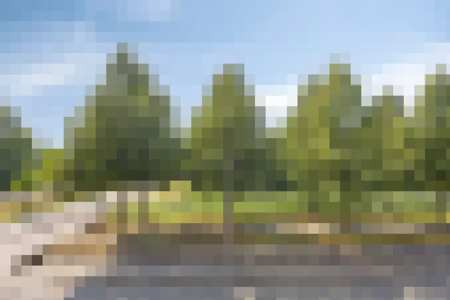 Siersteenlaan 363 b Groningen thumbnail 16