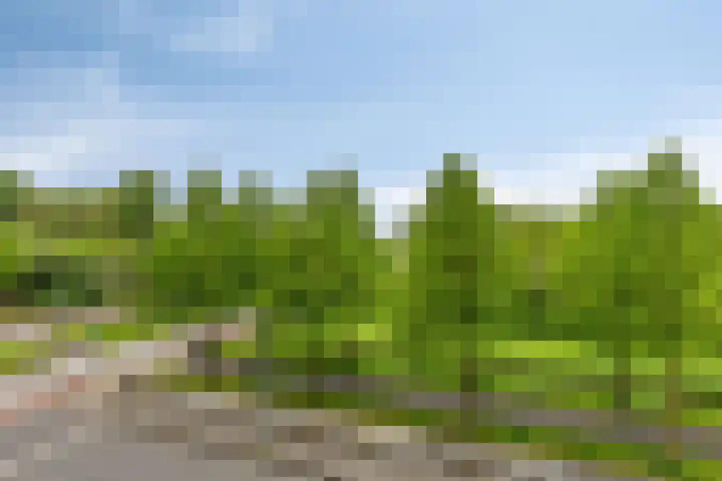 Siersteenlaan 365 a Groningen thumbnail 12
