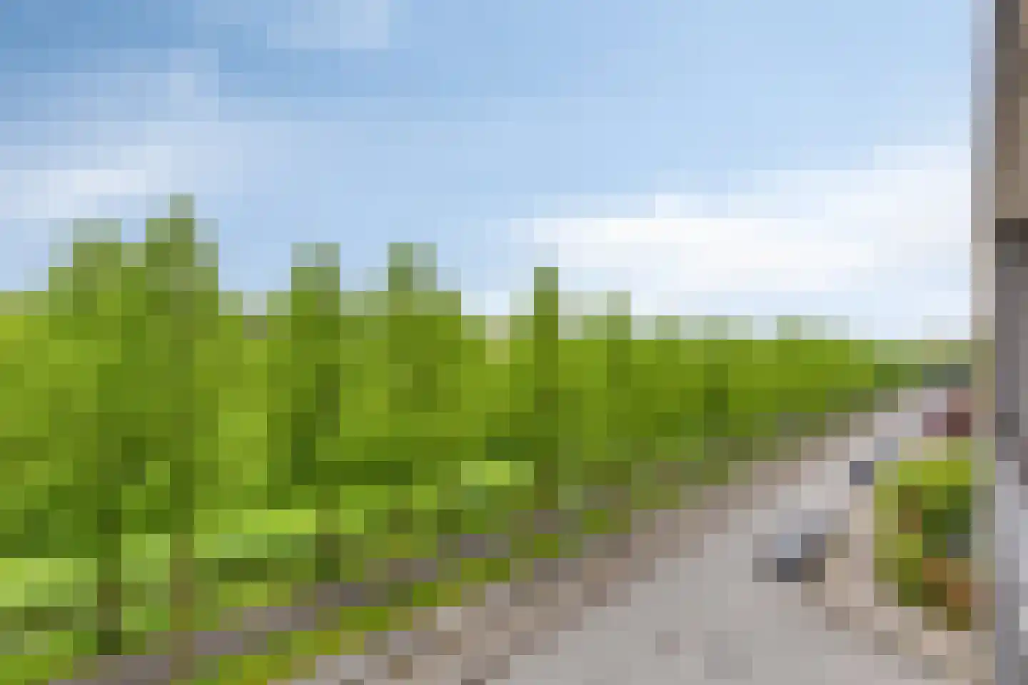 Siersteenlaan 365 a Groningen thumbnail 15