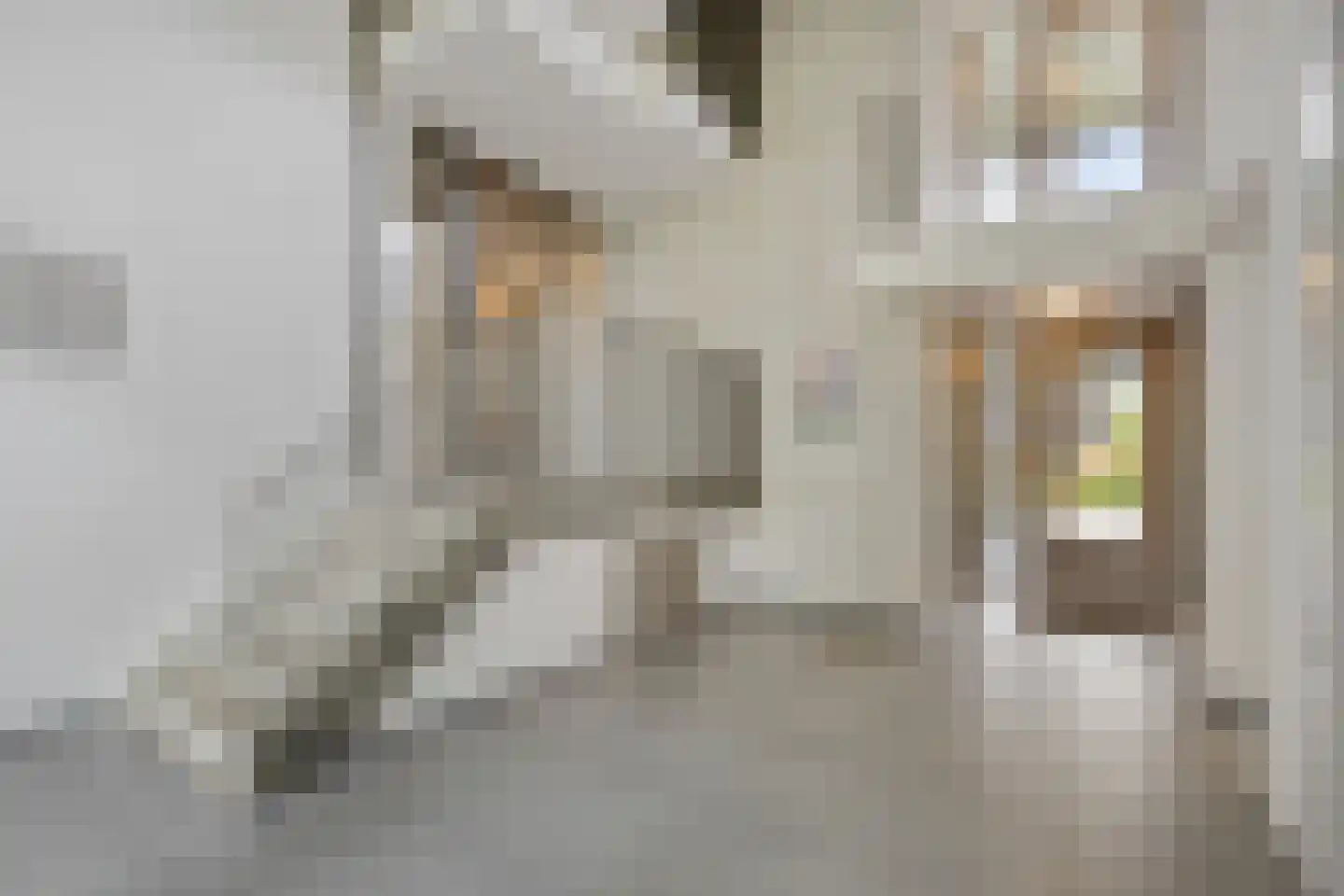 Siersteenlaan 365 a Groningen thumbnail 4