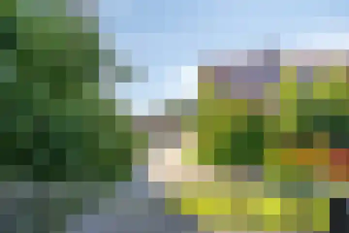 Siersteenlaan 365 e Groningen thumbnail 11