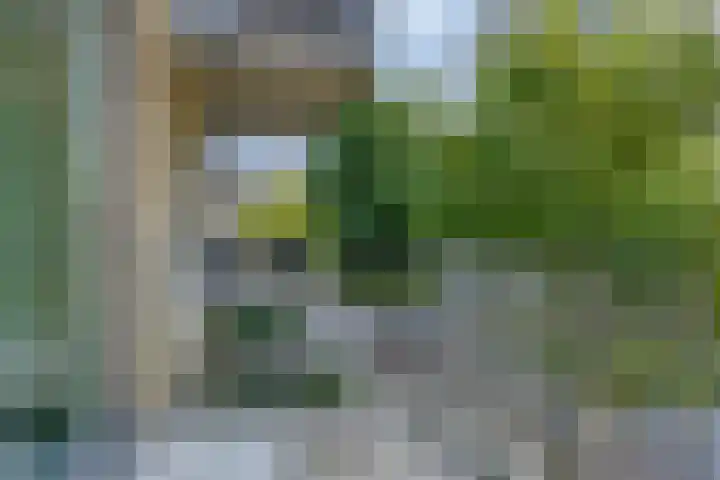 Siersteenlaan 365 e Groningen thumbnail 12